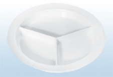 Divided Dinner Plate